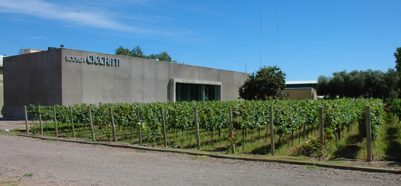 Bodega Cicchitti — Mendoza